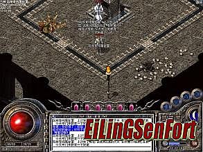 ��̬����˽����