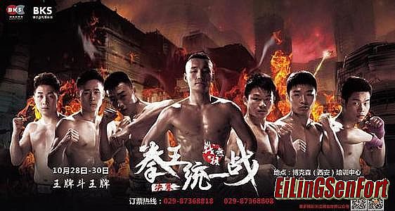 ���ӵ�ְҵ���湥��