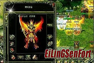 ���������ƽ�����ص�ַ