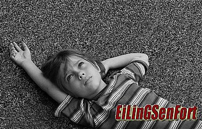 ������̬��������2