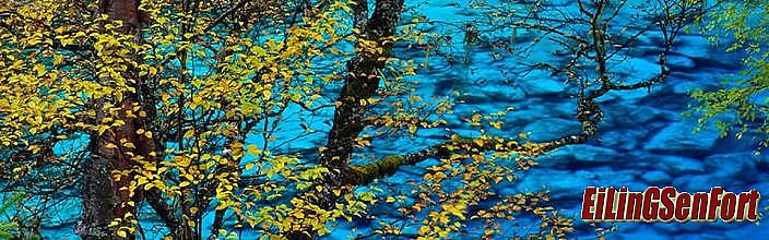 ��Ѫ���������������